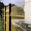 Curved Wire Mesh Fence