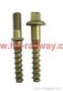 double end screw
