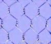 Hexagonal wire mesh