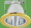 2.5 INCH DOWN LIGHT