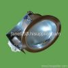 8 INCH DOWN LIGHT