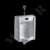 Wall hung Urinal