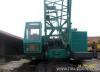 Crawler crane