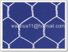 hexagonal wire mesh