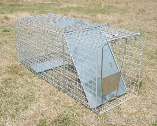 Foldable animal trap