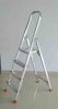 aluminum step ladder