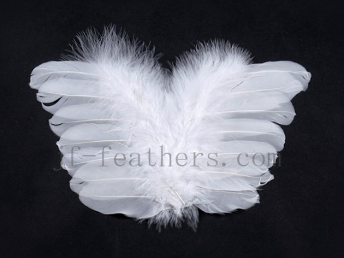 Feather angle wing