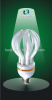 lotus cfl lamps