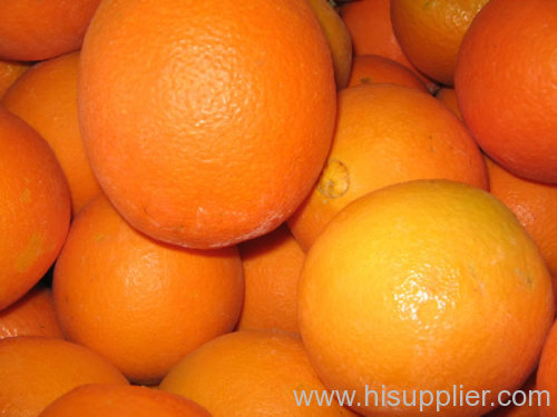 (xinfeng) newhall navel orange