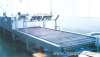 stainless steel wire mesh conveyor
