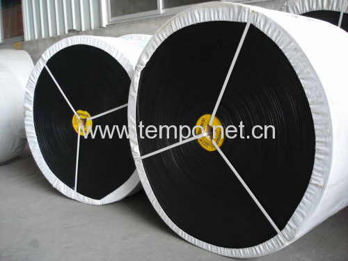 Polyester Conveyor Belt