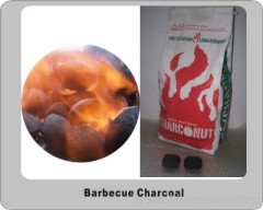 Charcoal Briquette