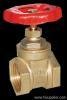 gate valve