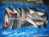 Mackerel HGT