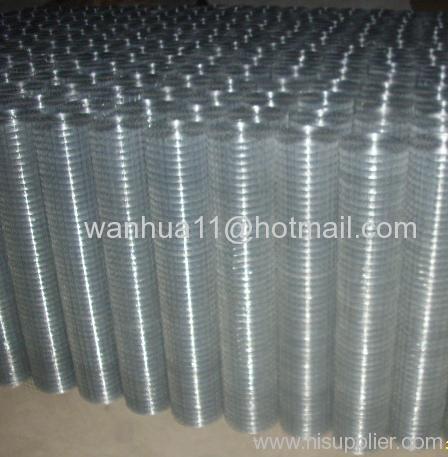 Rolled galvanized Welded Wire Mesh