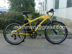 Electric Mountain Bike