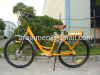 Electric City Bike