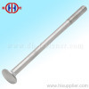 DIN603 carriage bolt