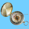 Gift compass