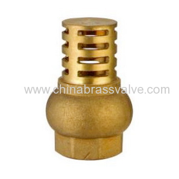 Brass Foot Valve