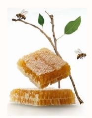 Litchi Honey