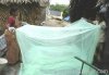 insecticide treated nets