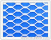 Hexagonal wire netting