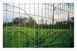 Euro Fence