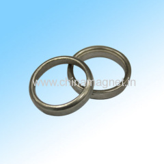 Neodymium Ring Magnet