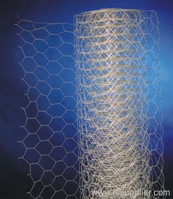 Galvanized Hexagonal Wire Mesh