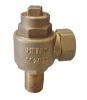 brass check valve