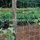 plant support net