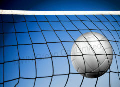 volleyball net