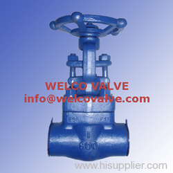 Forged Steel Gate Valve