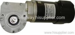 PM DC WORM GEAR motor