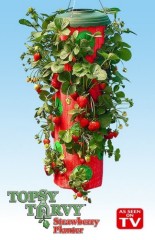 Strawberry Planter