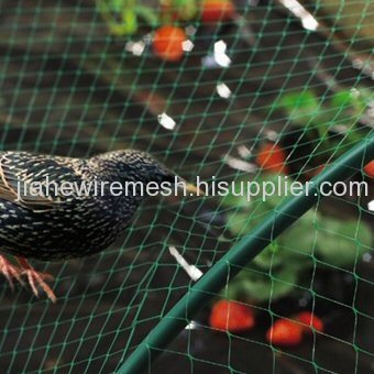 Anti-Bird Netting