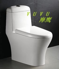 One-piece Toilet