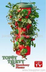 STRAWBERRY PLANTER