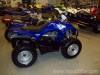 Fully automatic transmission 2010 Wolverine 450 Auto 4X4 Yamaha