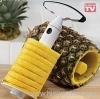 Pineapple grater