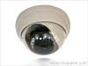 Color IR Dome Camera