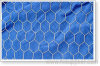 hexagonal wire mesh