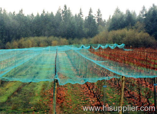 bird netting