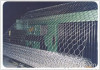 gabion mesh