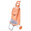 Shopping Trolley Bag and Carts