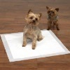 Puppy Training Pad