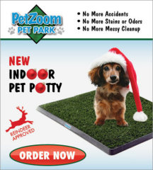 Pet Zoom Pet Park