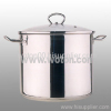 Stainless Steel Stockpot