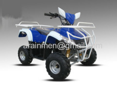 110CC ATV